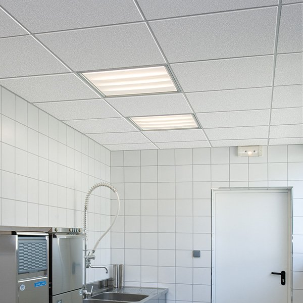 WATTS INDUSTRIES Panneau d'accès gris en métal, 18 po x 18 po | Home