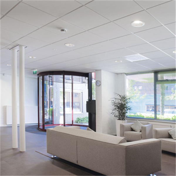 Dalle de faux plafond - Tonga Eurocoustic - 22 mm